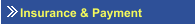 Insurance & Payment